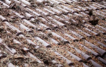 Otterford roof cleaning companies