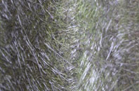 Otterford fibreglass roof work